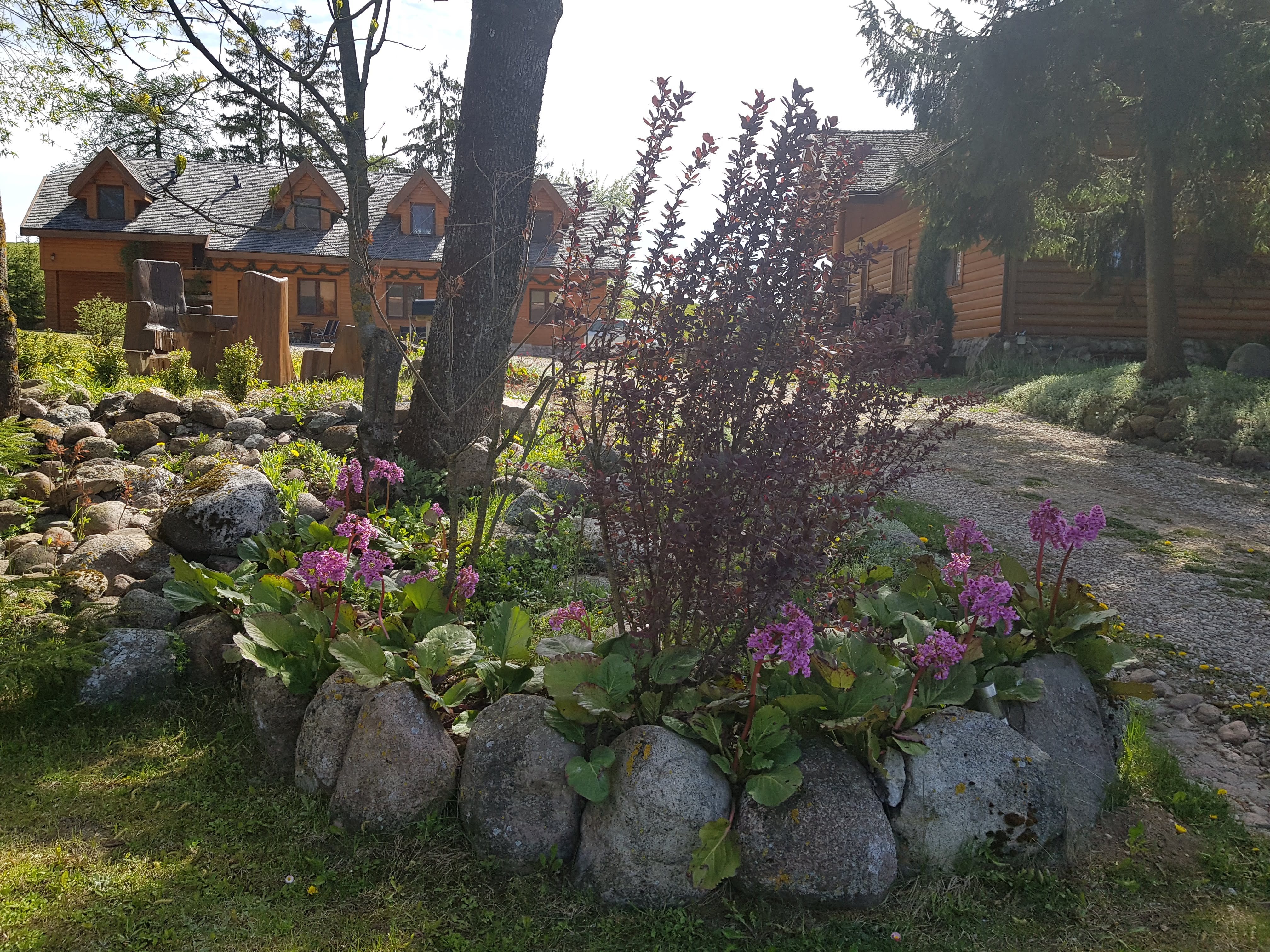 20190506_105217