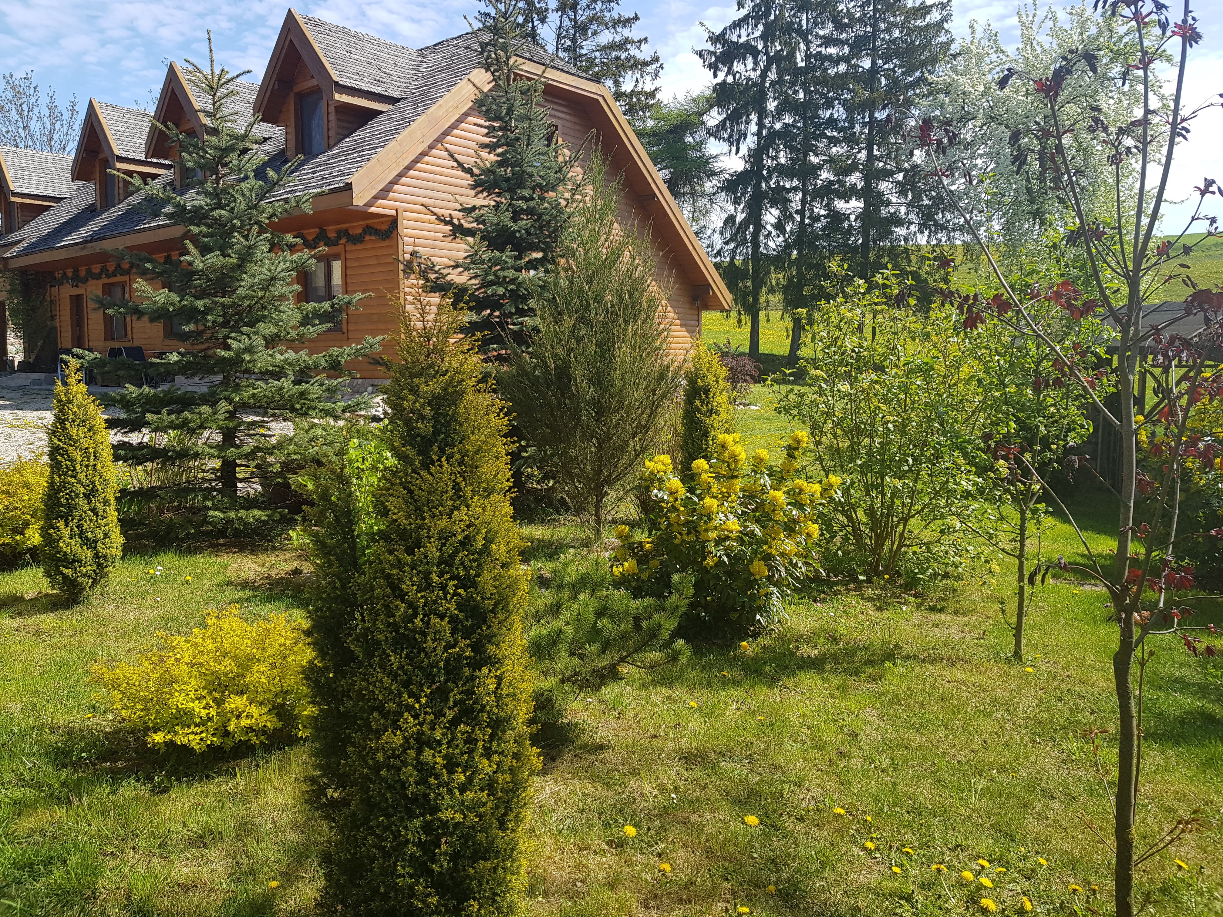 20190506_105924