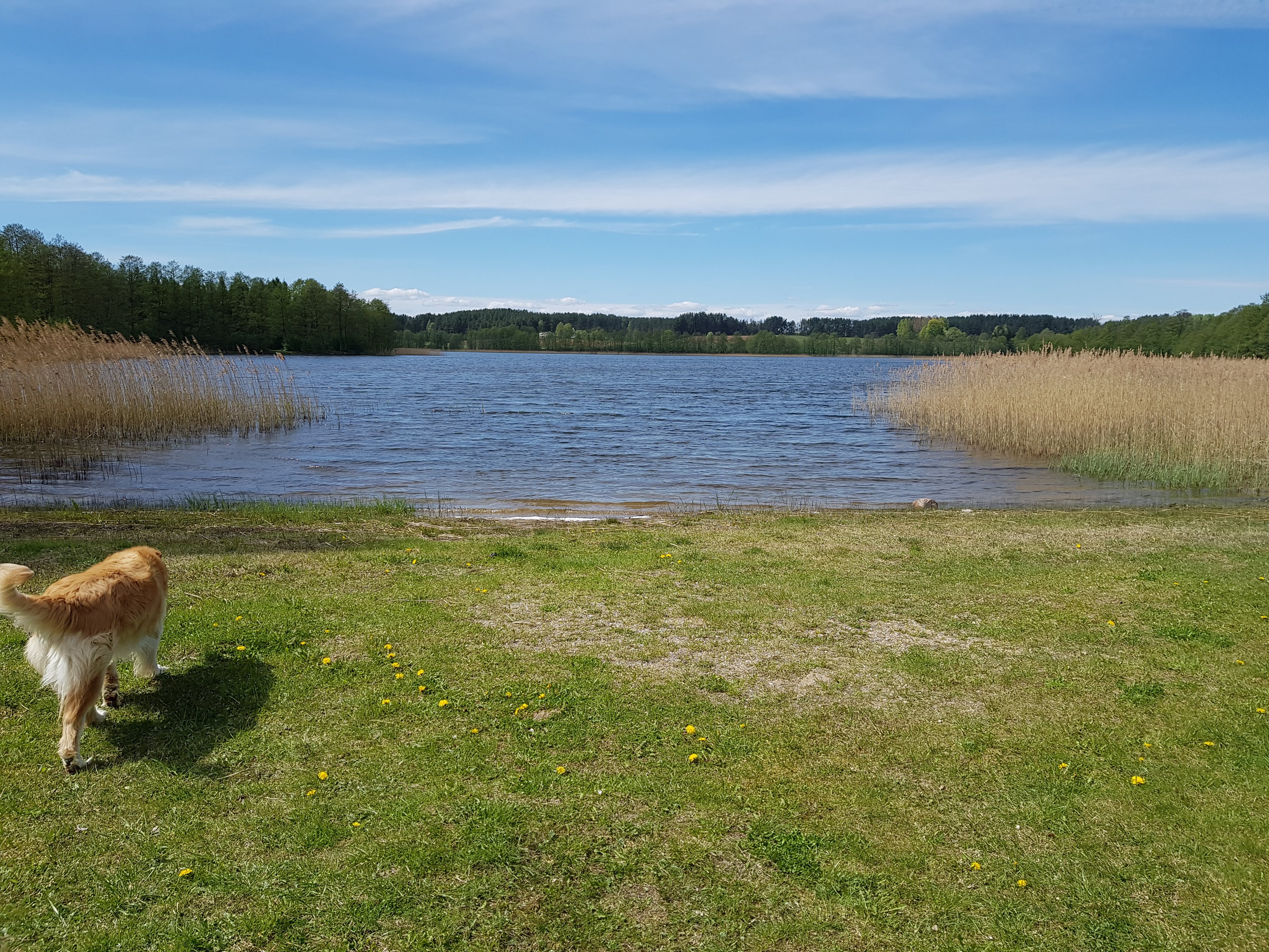 20190506_135542